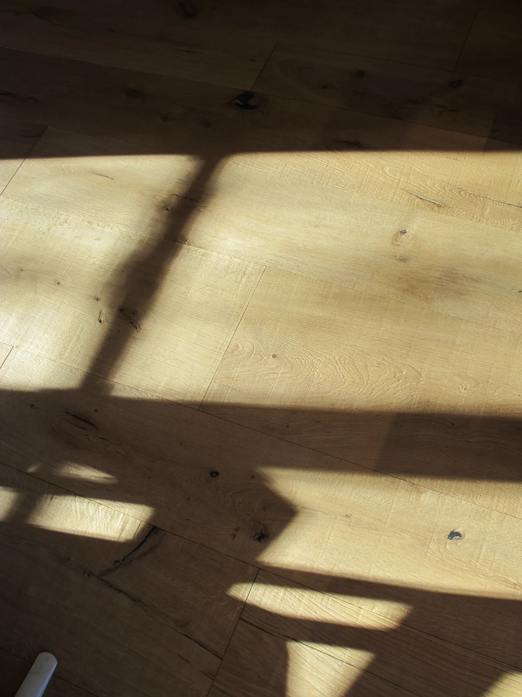 Luce sul legno — Dettagli