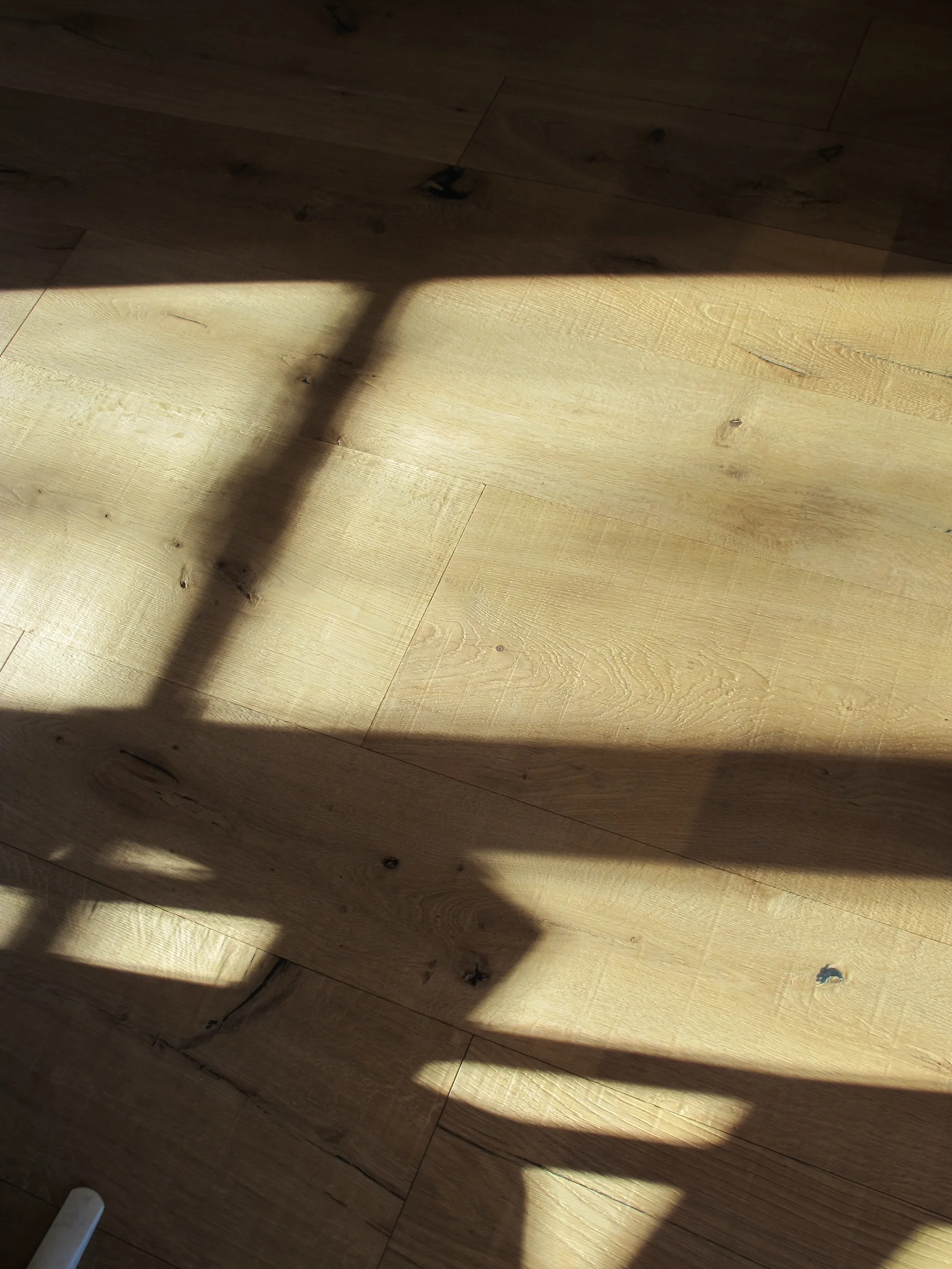 Luce sul legno — Dettagli